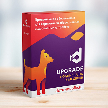 ПО DataMobile Online Lite - 6 месяцев